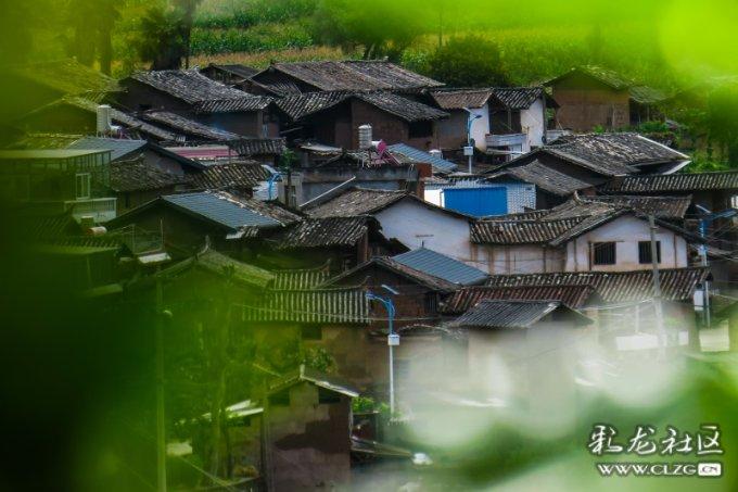 蒸汽时代的公主